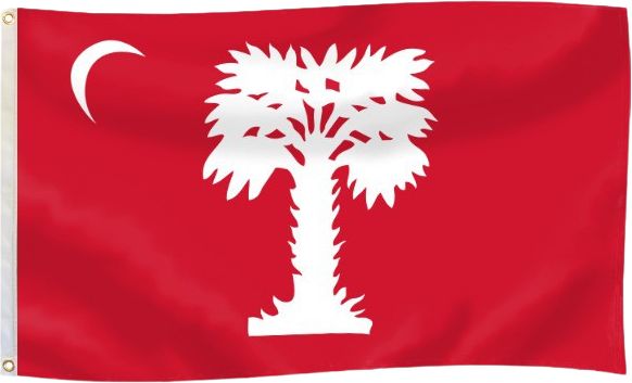 The Citadel 3' x 5' Flag