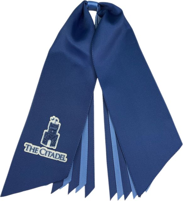 The Citadel Pony Streamer