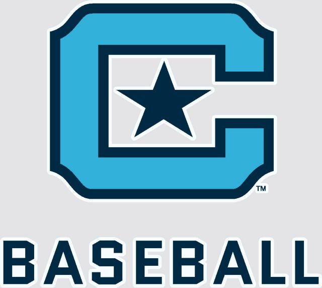 The Citadel Bulldogs Baseball Decal