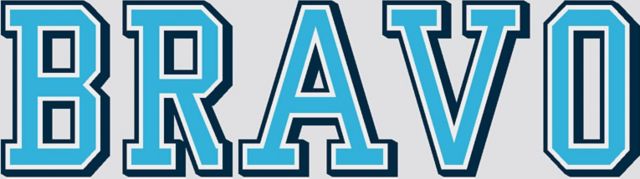 The Citadel Bravo Decal