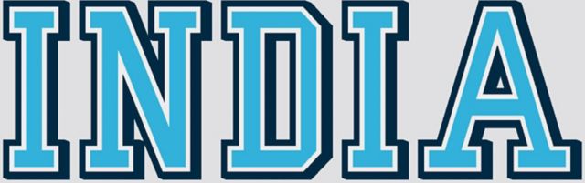 The Citadel India Decal