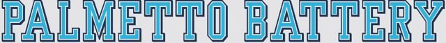 The Citadel Palmetto Battery Decal