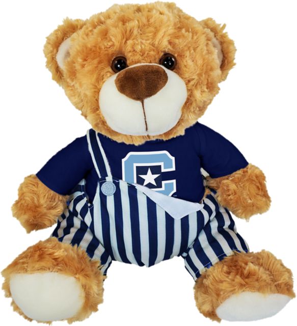 The Citadel 10'' Game Day Bear