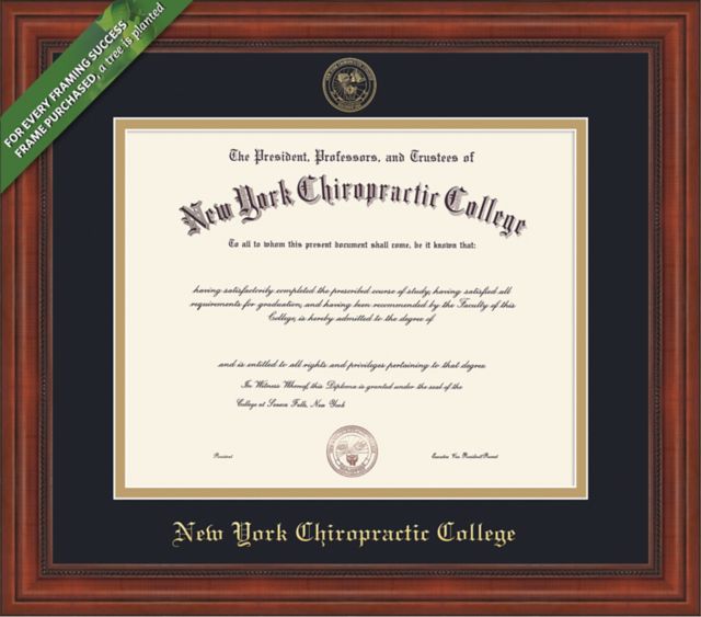 Framing Success Millennium 8.5 X 11 Diploma With Double Mat (Pre-2021) - ONLINE ONLY