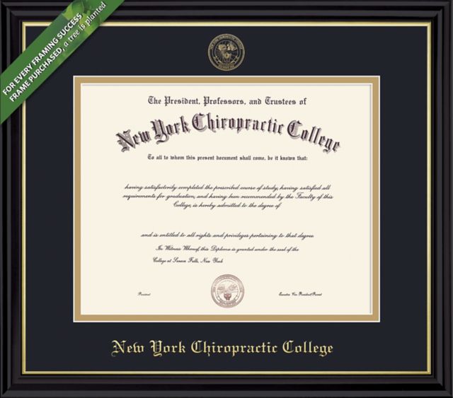 Framing Success Coronado 8.5 X 11 Diploma With Double Mat (Pre-2021) - ONLINE ONLY