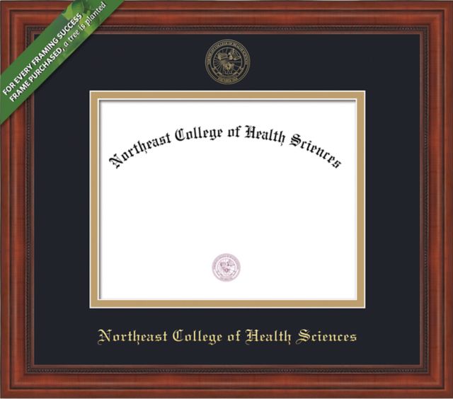 Framing Success Millennium 8.5 x 11 Diploma with Double Mat (2021-Present) - ONLINE ONLY