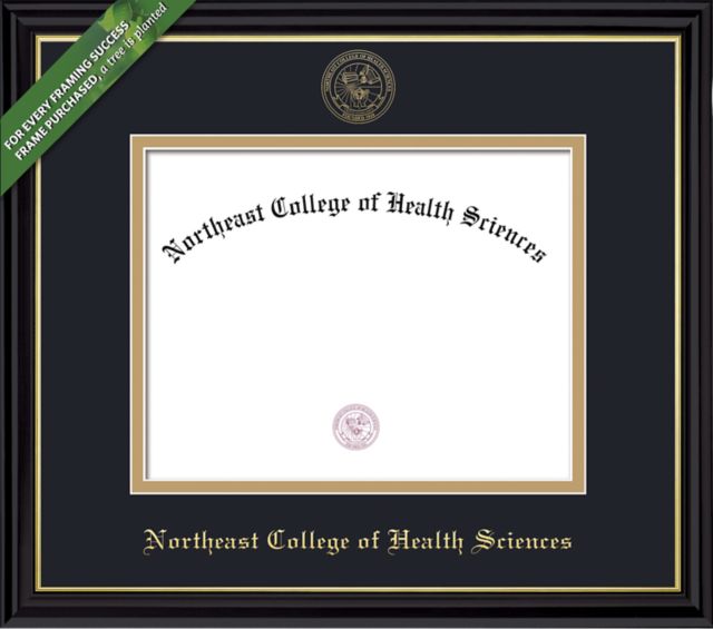 Framing Success Coronado 8.5 x 11 Diploma with Double Mat (2021-Present) - ONLINE ONLY