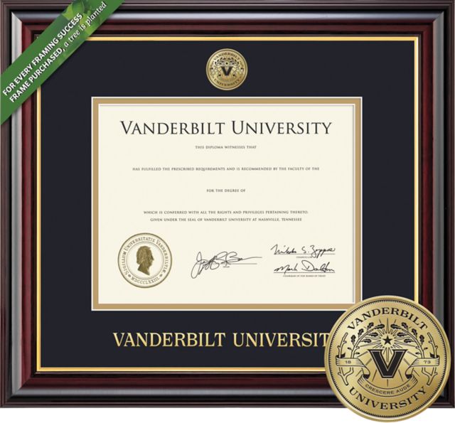 Vanderbilt University 14'' x 17'' Windsor Diploma Frame