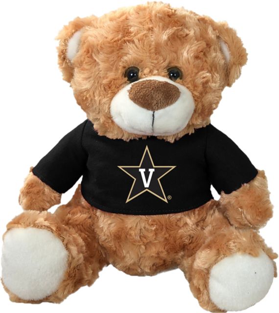 Dallas Cowboys Bear Gift Set