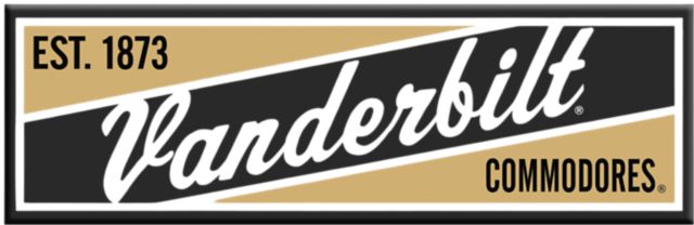 Vanderbilt University Magnet