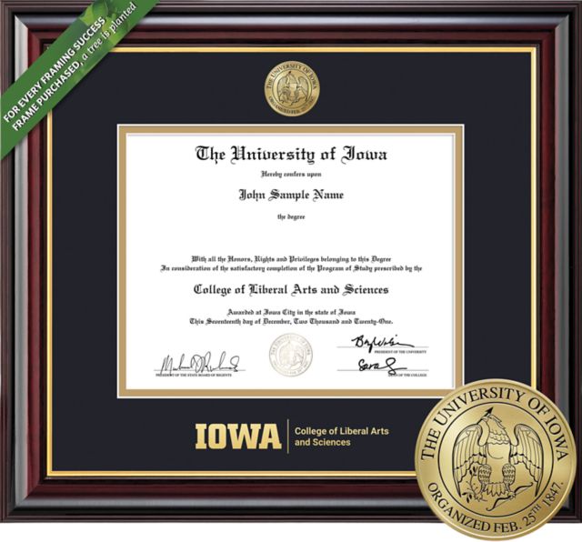 University of Iowa 8.5'' x 11'' Windsor Diploma Frame
