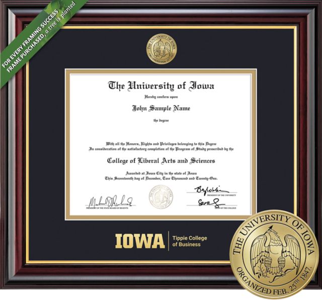 University of Iowa 8.5'' x 11'' Windsor Diploma Frame