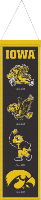 University of Iowa 8 x 32 Wool Banner