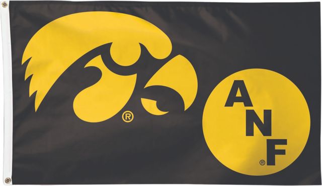 University of Iowa 3x5 Flag