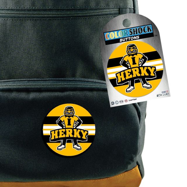 University of Iowa Hawkeyes 3'' Button