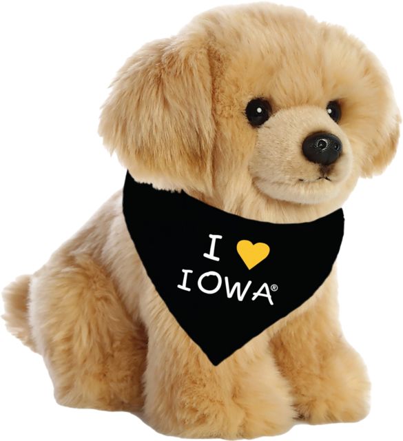University of Iowa Plush