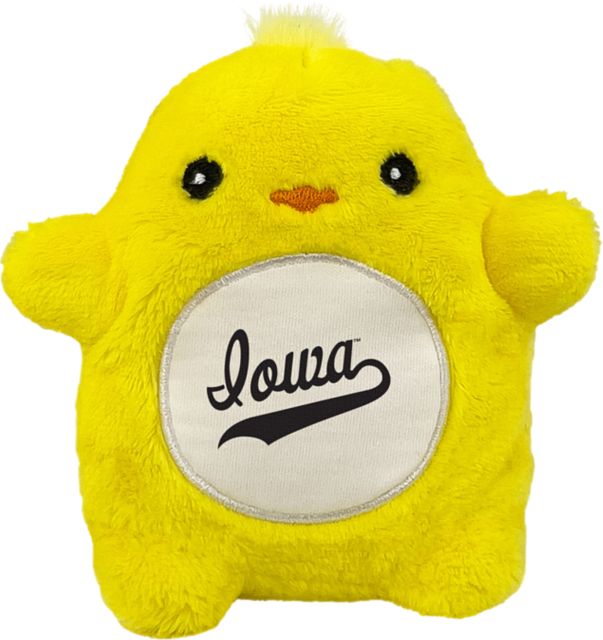 University of Iowa 4.5'' Fancake Plush