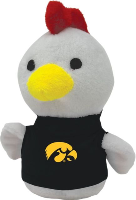 University of Iowa Hawkeyes Shorties