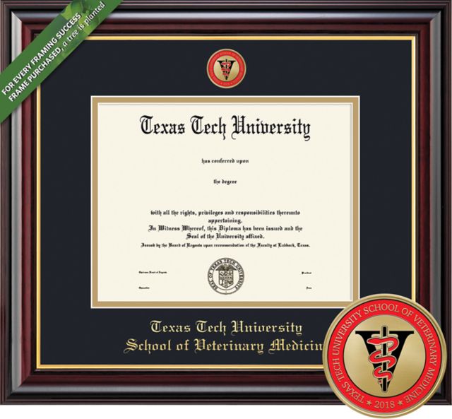 Texas Tech University 11'' x 14'' Windsor Diploma Frame