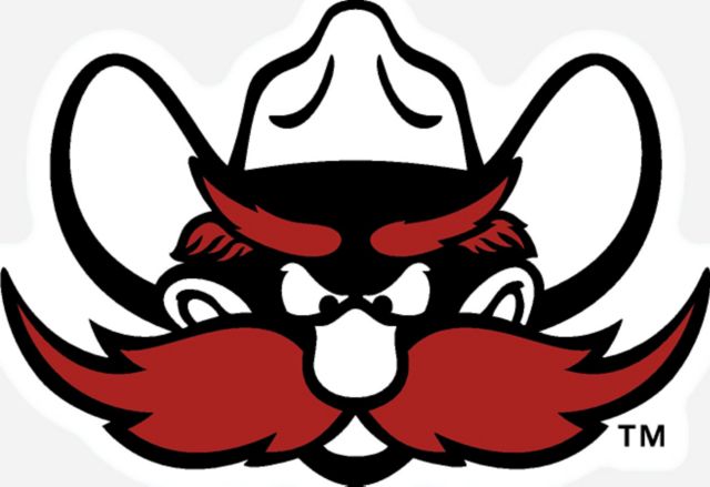 Texas Tech University Red Raiders Mini Magnet