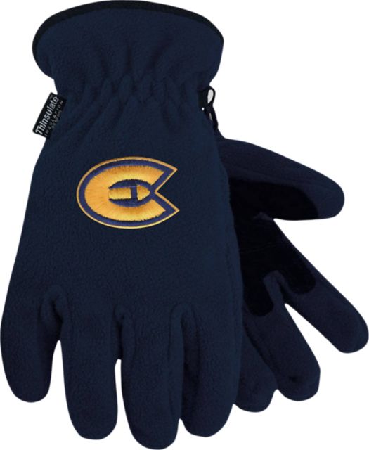 University of Wisconsin Eau Claire Gloves