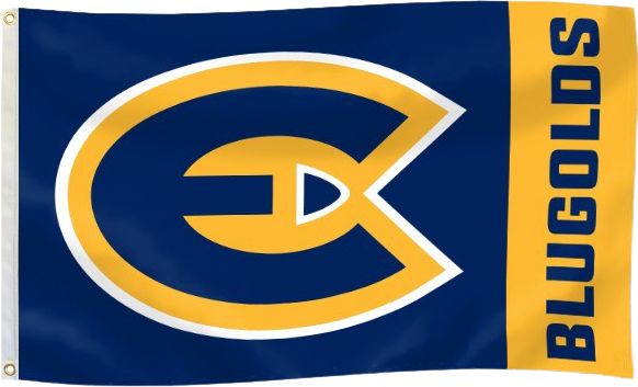 University of Wisconsin Eau Claire 3' x 5' Durawave Flag