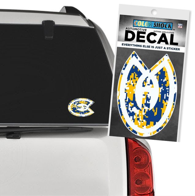 University of Wisconsin Eau Claire Decal