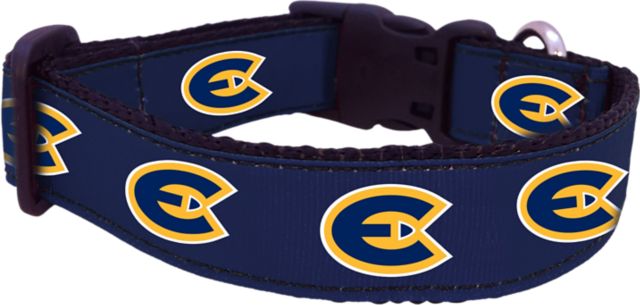 University of Wisconsin Eau Claire Dog Collar
