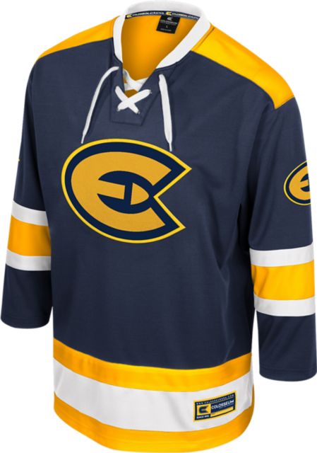 University of Wisconsin Eau Claire Hockey Sweater