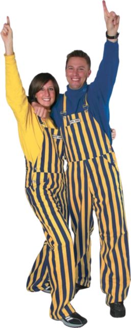 University of Wisconsin Eau Claire Stripe Game Bib Overalls