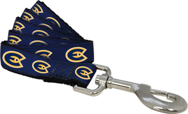 University of Wisconsin Eau Claire 6 FT Dog Leash