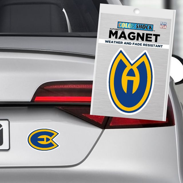 University of Wisconsin Eau Claire 4" x 4" Magnet