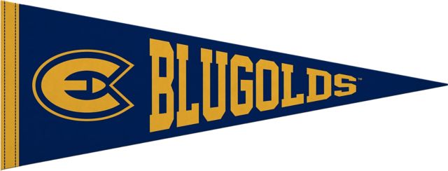 University of Wisconsin Eau Claire 9"X24" Full Color Pennant