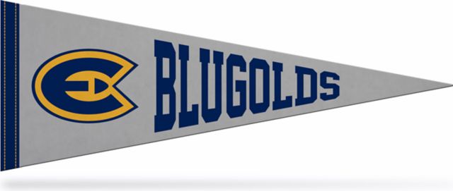 University of Wisconsin Eau Claire 9" x 24" Pennant