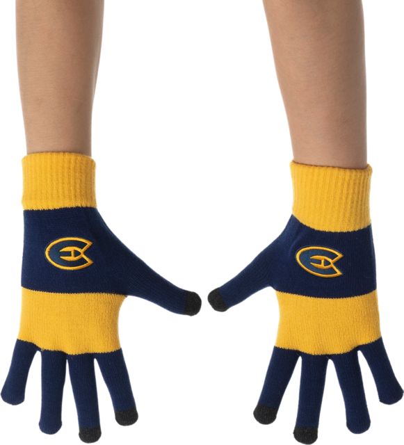 University of Wisconsin Eau Claire Gloves