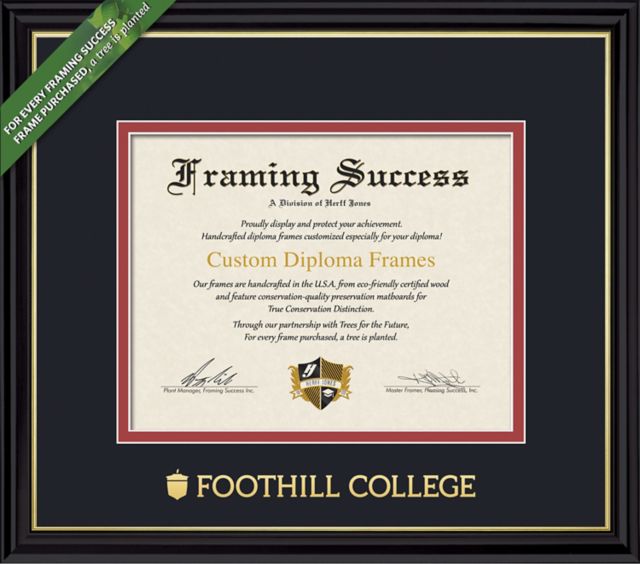 Framing Success Coronado 8.5 x 11 Diploma with Double Mat - ONLINE ONLY