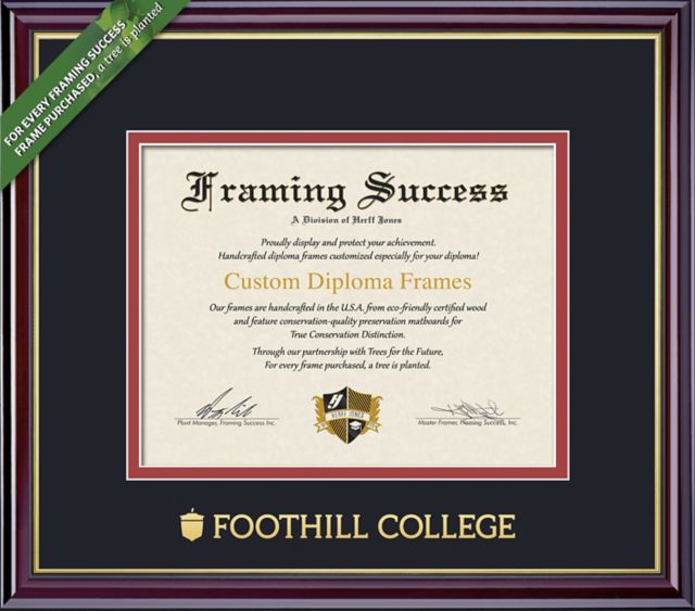 Framing Success Windsor 8.5 x 11 Diploma with Double Mat - ONLINE ONLY