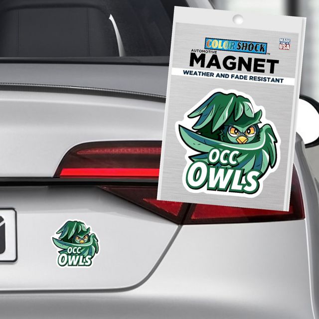 Oakland Community College Owls 4" x 4" Magnet