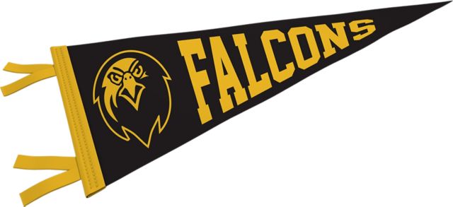 Pfeiffer University Falcons 9'' x 24'' Pennant