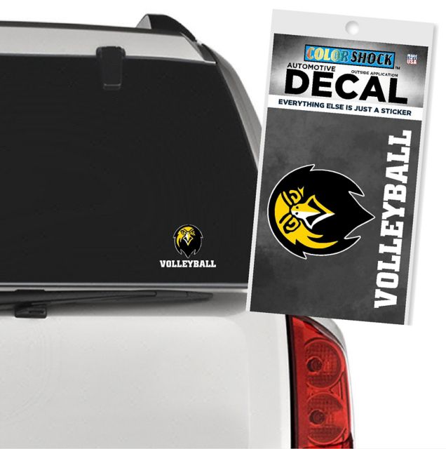 Pfeiffer University Falcons Volleyball Decal