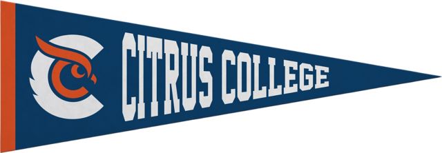 Citrus College Owls 5x15 Pennant