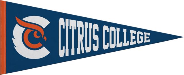 Citrus College 12"X30" Full Color Pennant