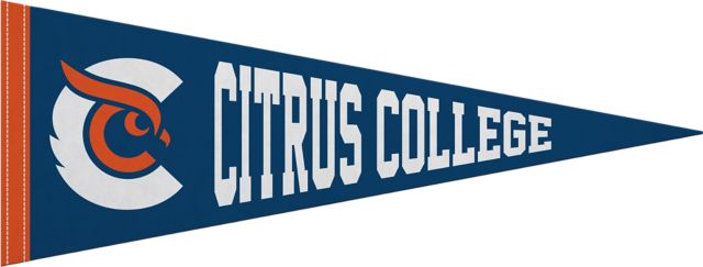 Citrus College 9"X24" Full Color Pennant