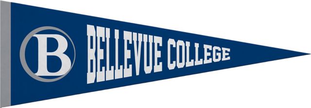 Bellevue College 5x15 Pennant