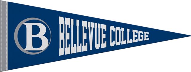 Bellevue College 9x24 Pennant