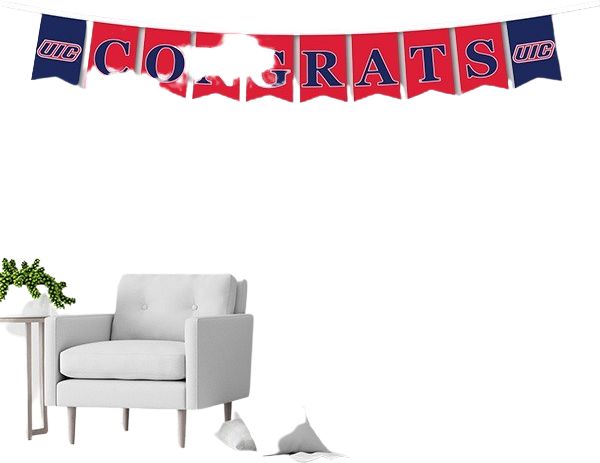 University of Illinois Chicago Banner