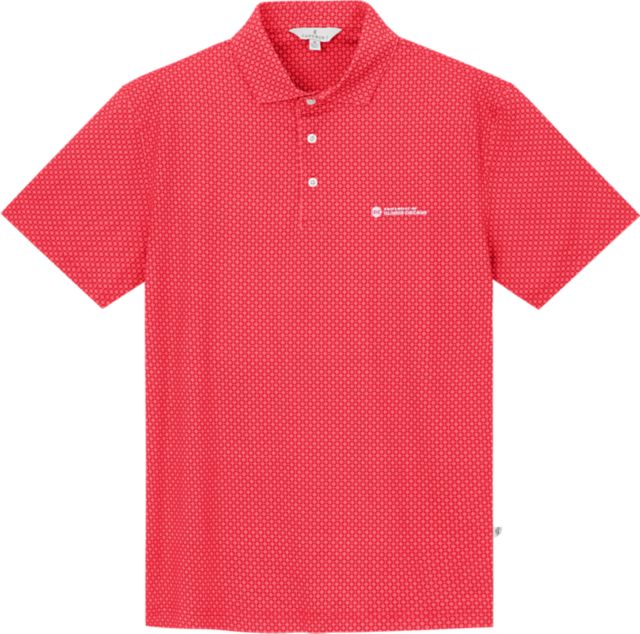 University of Illinois Chicago Geo Polo