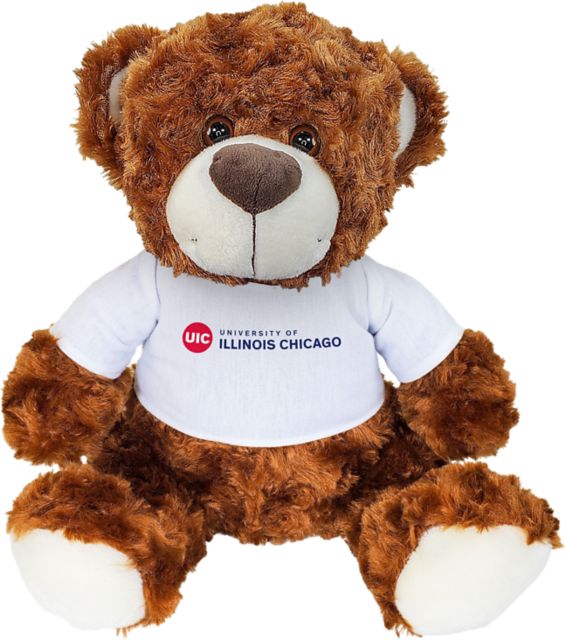 University of Illinois Chicago 10'' Bear