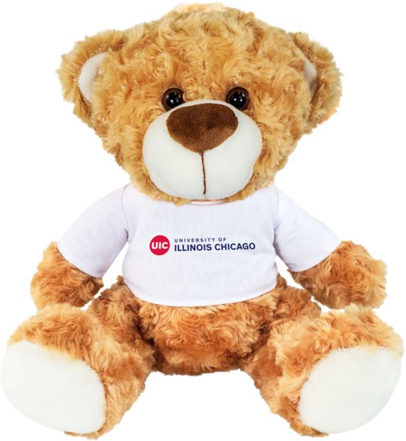 University of Illinois Chicago 10'' Bear