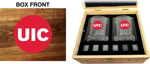 University of Illinois Chicago Rock Glass Box Set